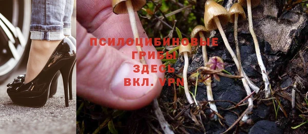стафф Осташков