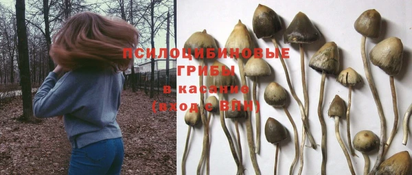 прущая мука Карпинск
