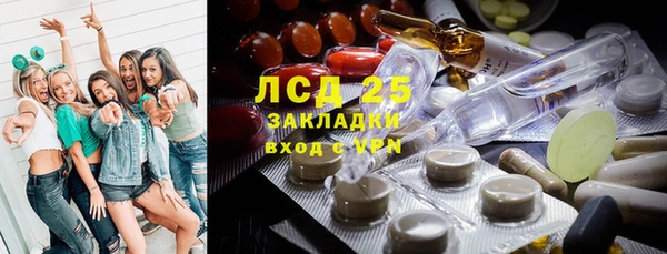 стафф Осташков